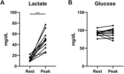 Exercise metabolomics in pulmonary arterial hypertension: Where pulmonary vascular metabolism meets exercise physiology